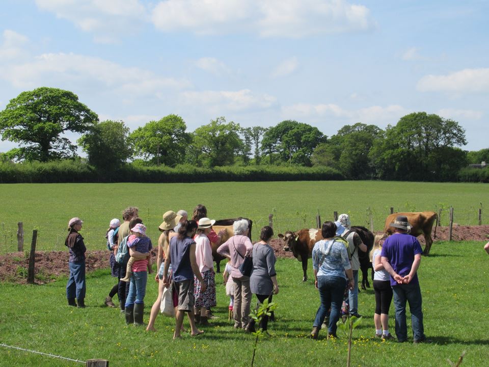 Out on the Farm – Summer visits with Harvest